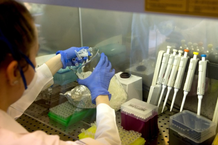 Új PCR-gyorstesztet fejlesztettek Magyarországon