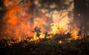 Nincs magyar érintettje a portugáliai és spanyolországi erdőtüzeknek