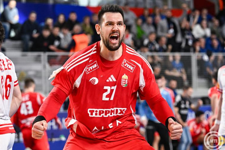 Férfi kézilabda-vb - Az osztrákok legyőzésével közel a negyeddöntő