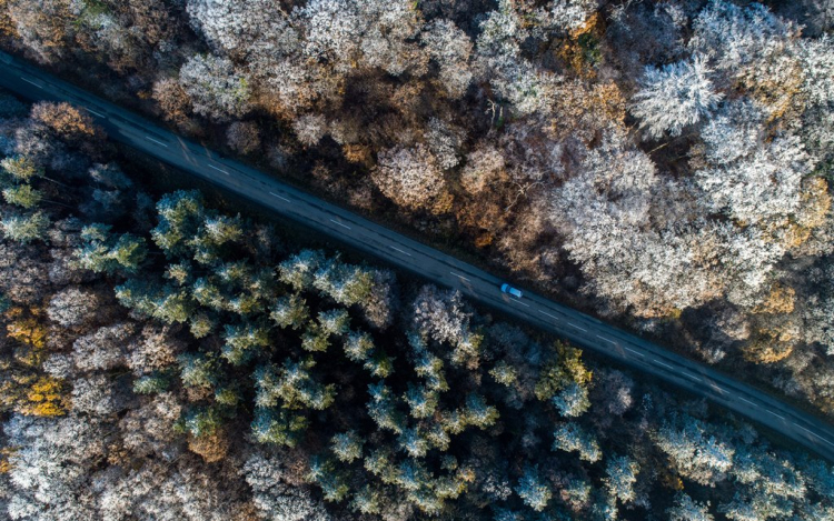 Többször is várható havazás december első hetében