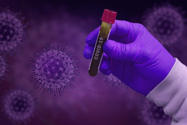 Az osztrákok több mint fele kész részt venni az országos tesztelésen